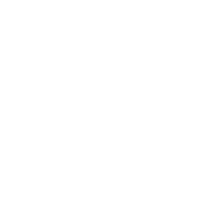 line_start_circle_48dp_FFFFFF_FILL0_wght400_GRAD0_opsz48