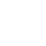 network_node_48dp_FFFFFF_FILL0_wght400_GRAD0_opsz48
