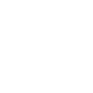 query_stats_48dp_FFFFFF_FILL0_wght400_GRAD0_opsz48