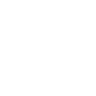 savings_48dp_FFFFFF_FILL0_wght400_GRAD0_opsz48