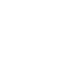 troubleshoot_48dp_FFFFFF_FILL0_wght400_GRAD0_opsz48